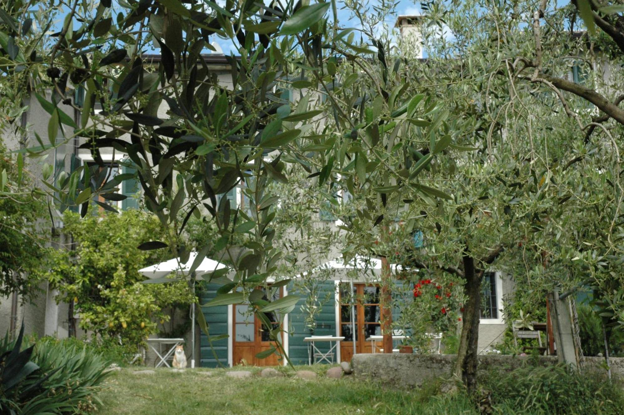 Agriturismo Tenuta La Pergola Bardolino Eksteriør bilde