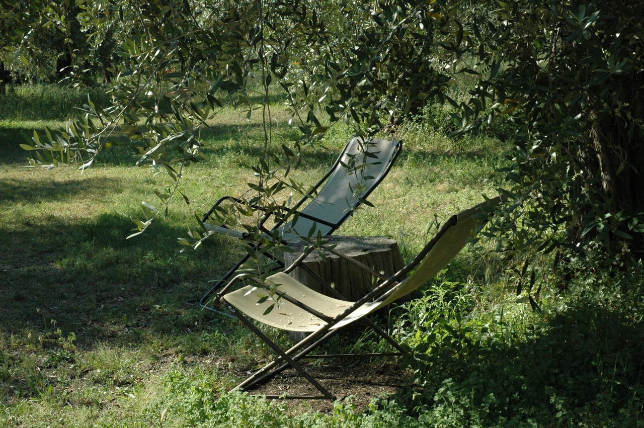 Agriturismo Tenuta La Pergola Bardolino Eksteriør bilde